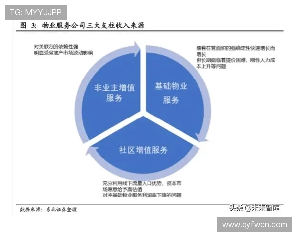 南京羽毛球队防反战术解析与战绩提升的深度探讨 南京羽毛球队防反战术解析与战绩提升的深度探讨